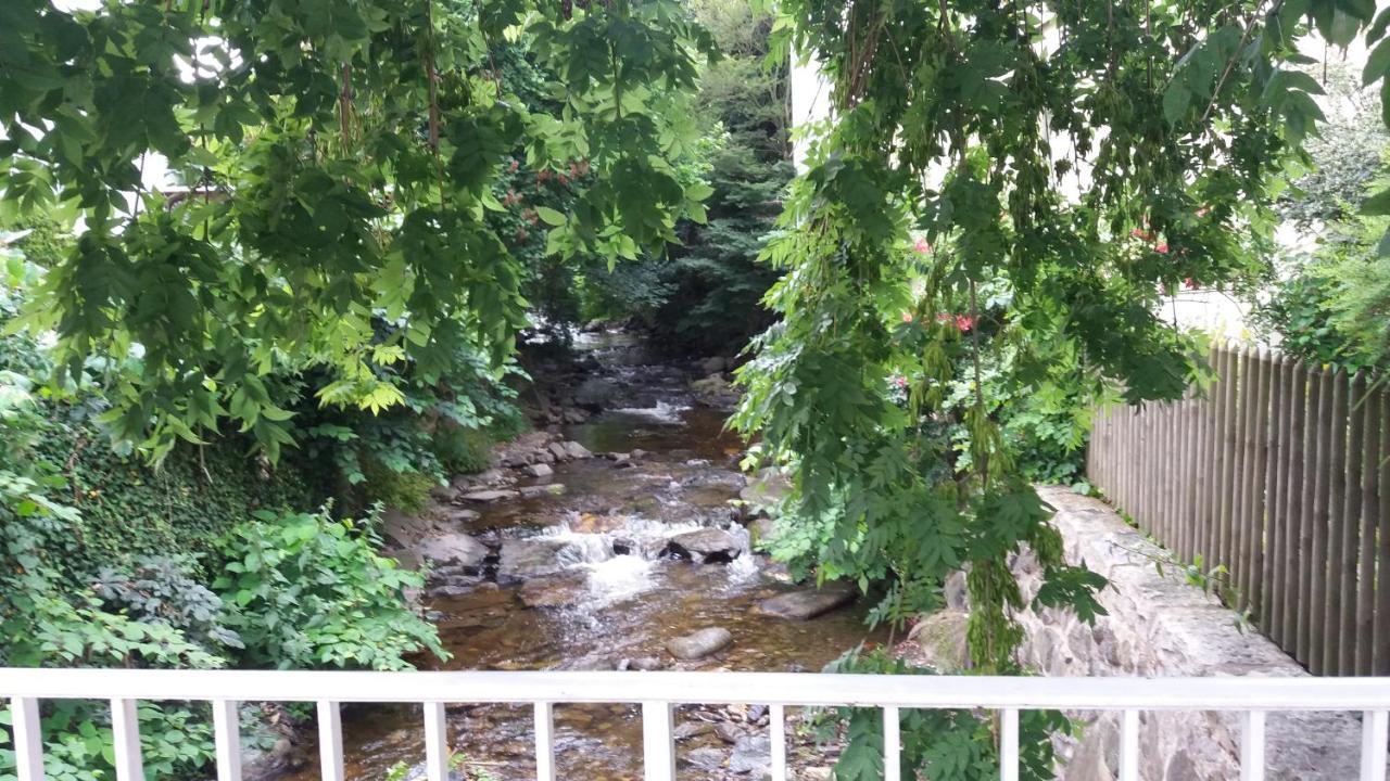 Appartement An Der Radau Bad Harzburg Exteriör bild